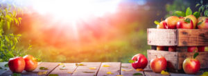 Apple Background
